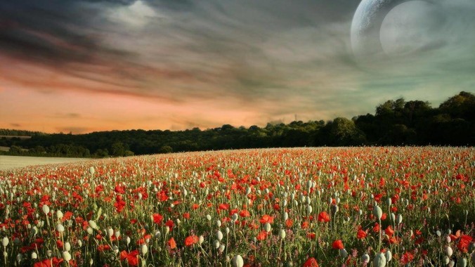 使用Linux系统有什么优势，亮点在哪里？